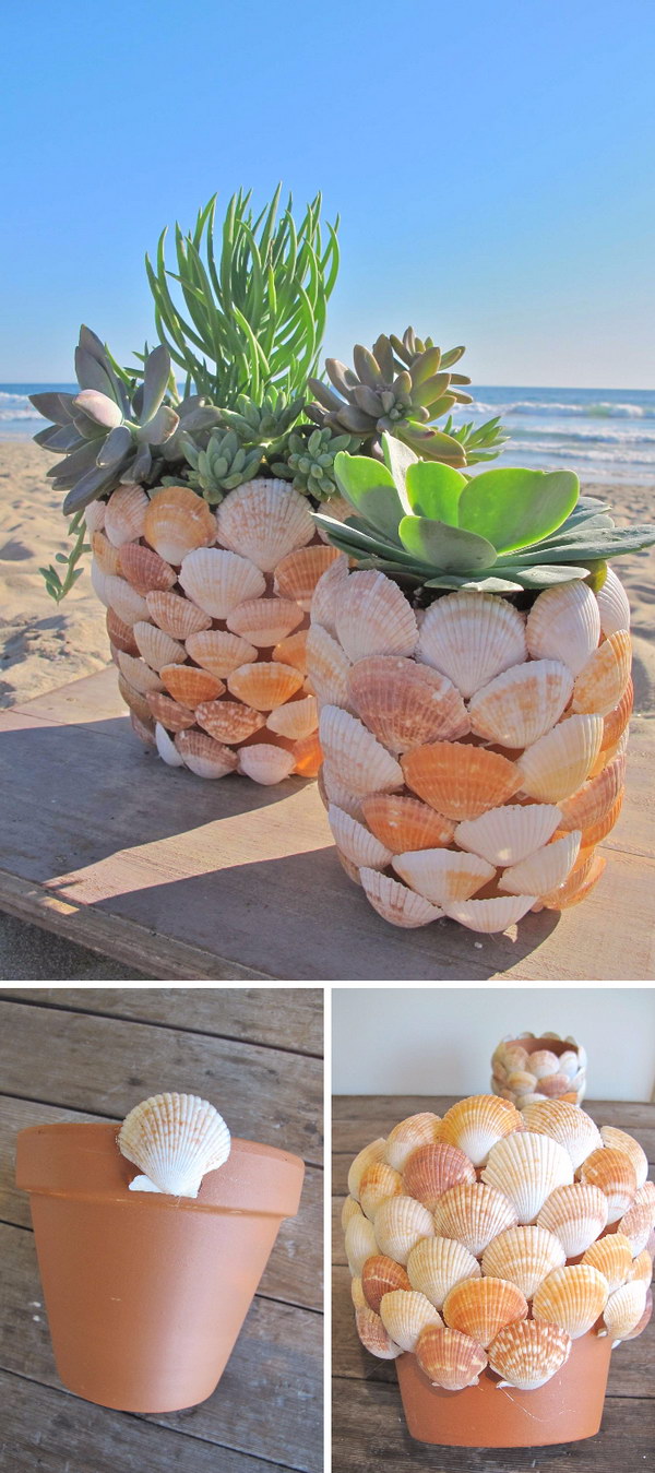 DIY Seashell Succulent Planter . 
