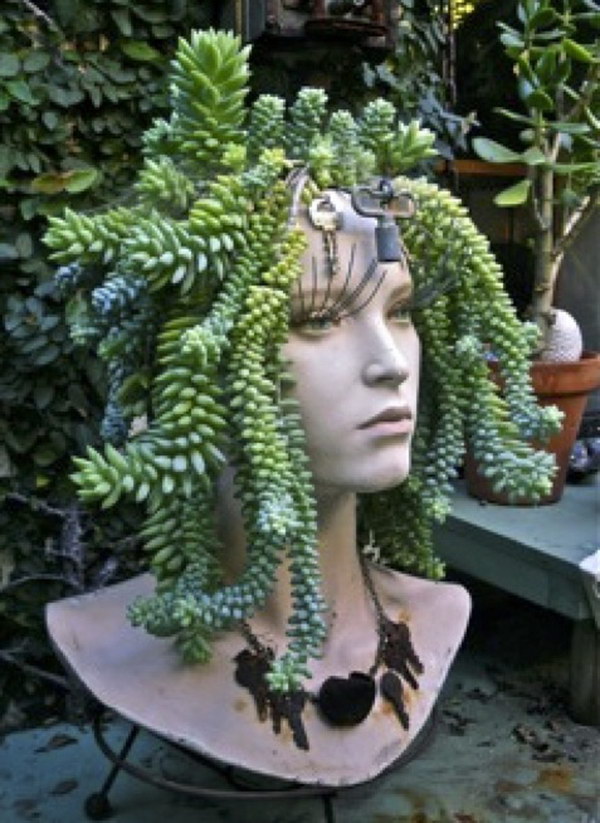 Mannequin Head Succulent Planter . 