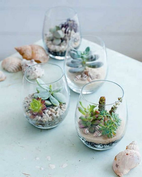 Add Some Sea Shells to Your Terrariums for a Nautical Vibe. 