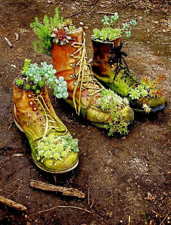 Succulent Boots. 
