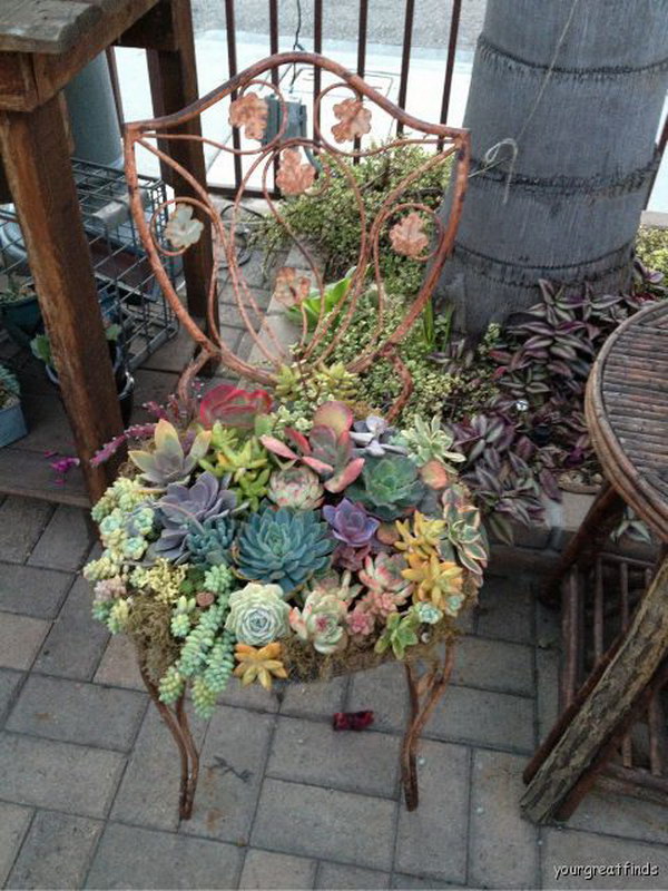 Succulent Chair. 