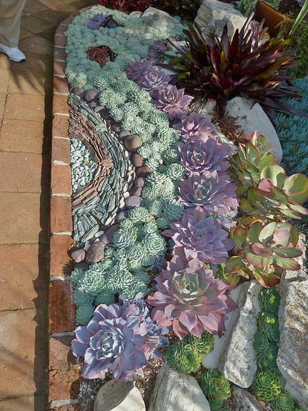 Create a mosaic made from succulents along side a pathway or for the planter under the a window Succulent edging. 