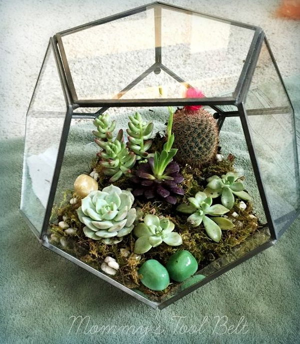 DIY Hanging Terrarium Succulent Garden. 