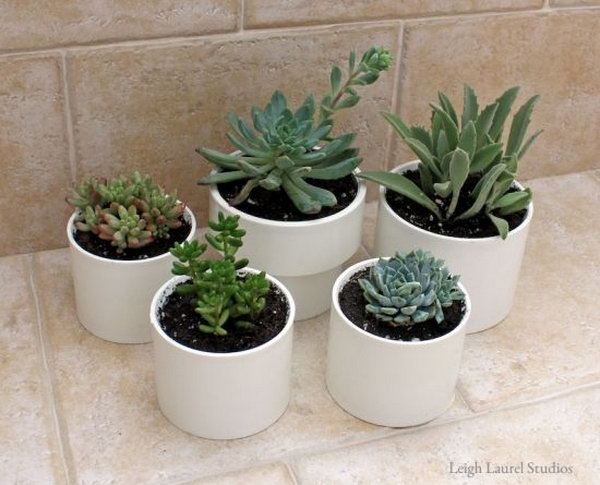 PVC Succulent Planters. 