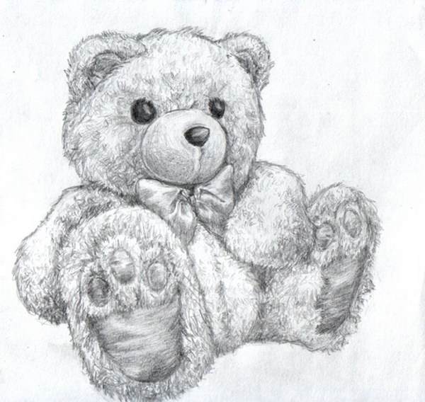 pencil drawings of teddy bears