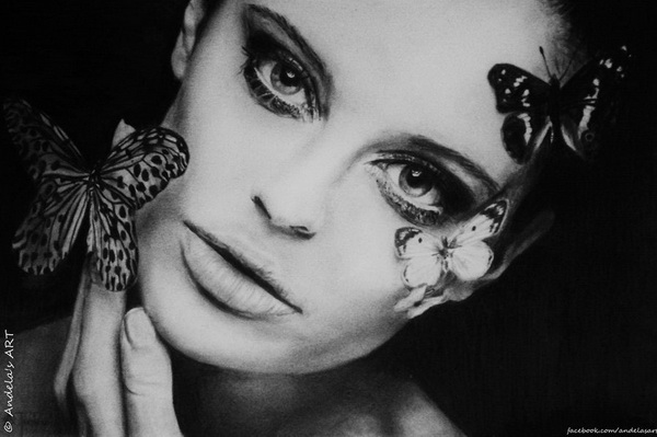 butterfly drawing 10