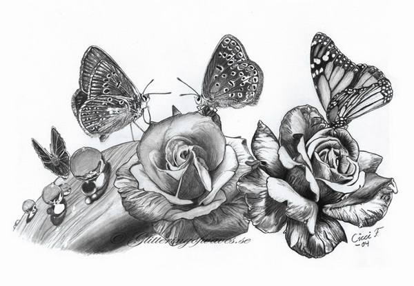 10 Beautiful Butterfly Drawings For Inspiration 2022   Butterfly Drawing 4 