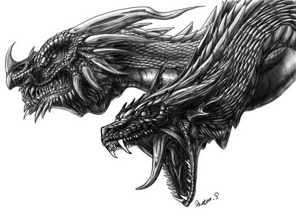 10 Cool Dragon Drawings for Inspiration 2017