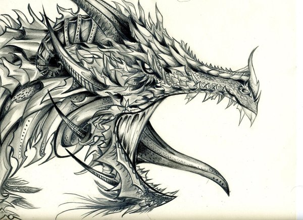 10 Cool Dragon Drawings for Inspiration 2017