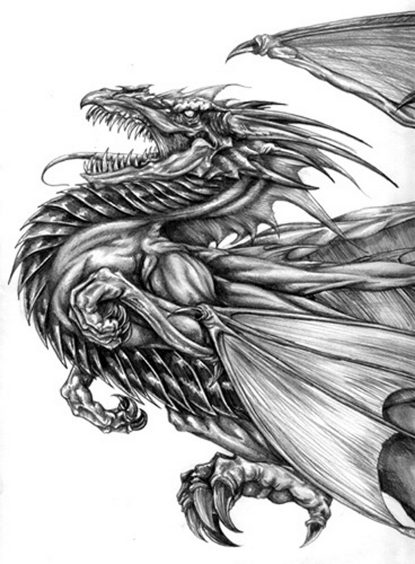 10+ Cool Dragon Drawings for Inspiration 2017