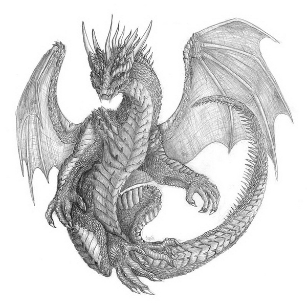 10+ Cool Dragon Drawings for Inspiration 2017
