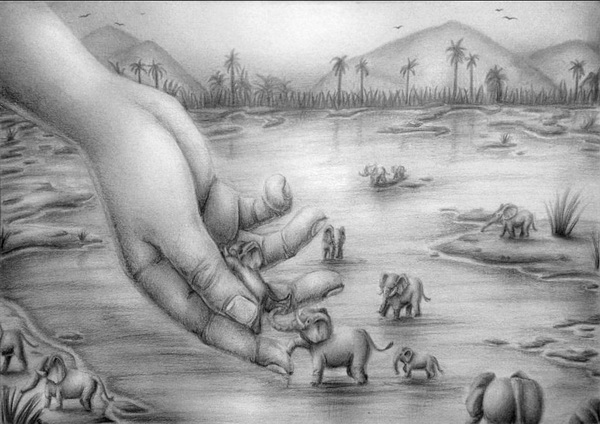 elephant drawing 12