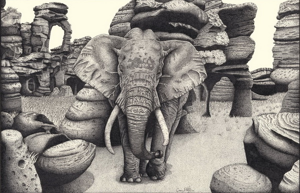 elephant drawing 5