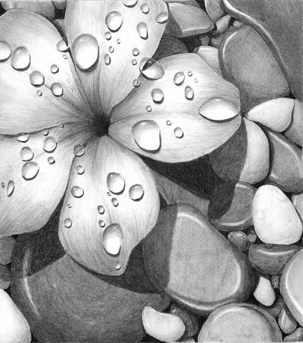Featured image of post Beautiful Sketches Of Flowers : See more ideas about flower sketches, sketches, flower drawing.