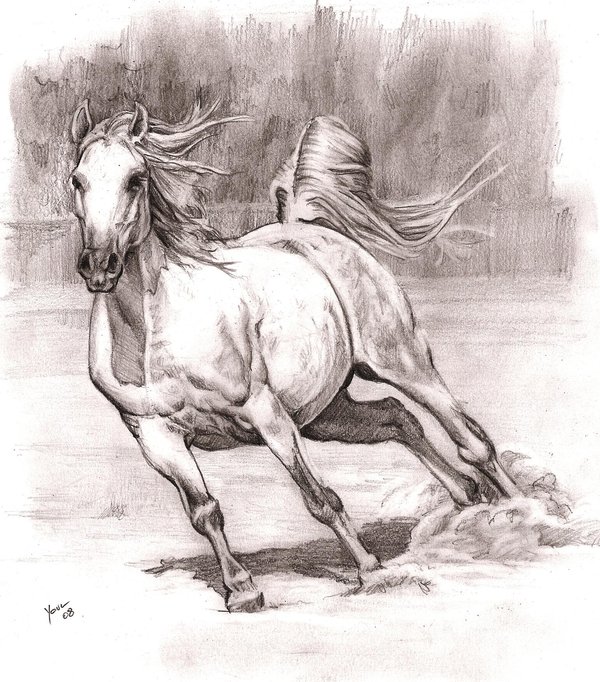 10+ Cool Horse Drawings for Inspiration 2022