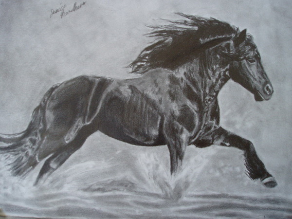 10 Cool Horse Drawings for Inspiration 2017