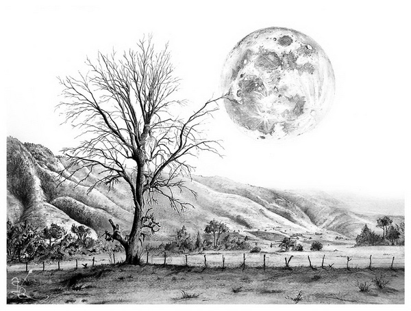 10 Beautiful Landscape Drawings For Inspiration 17