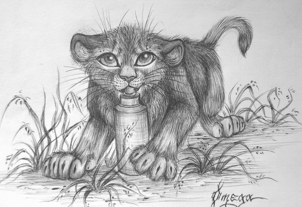 lion drawing 8