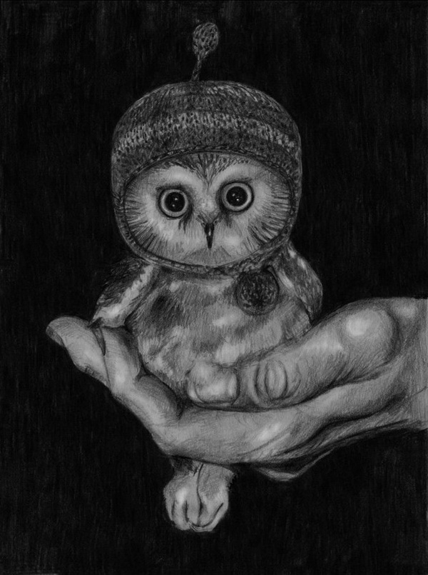 10 Clever Owl Drawings for Inspiration 2017