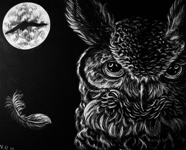 owl drawing 7
