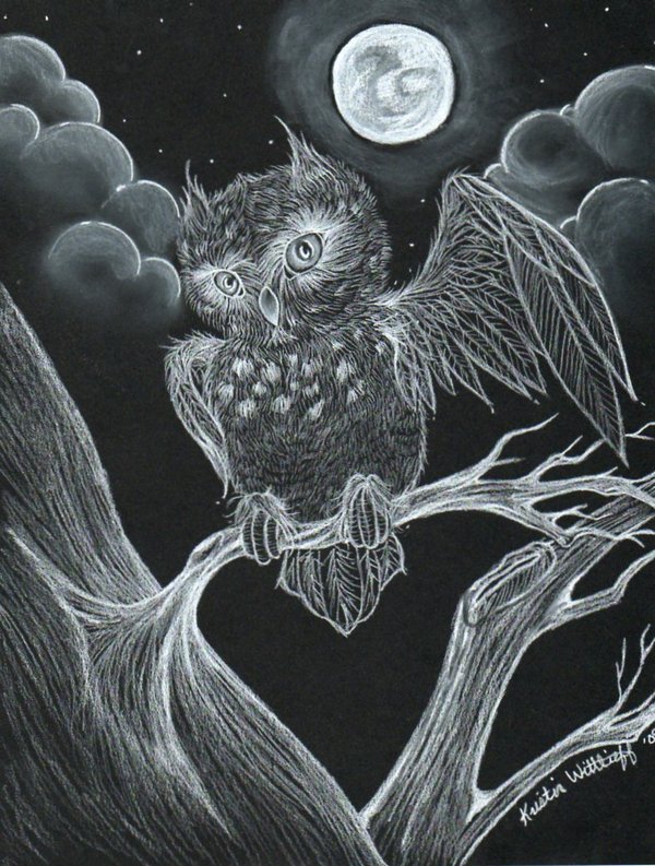 owl drawing 8