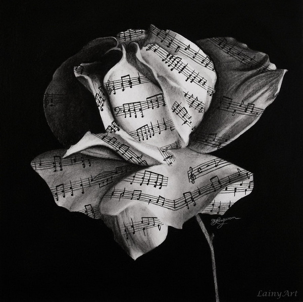 rose drawing 6