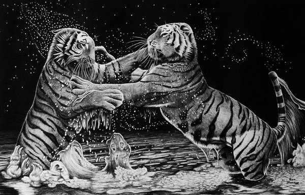 tiger drawing 1