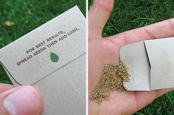 green card design 8