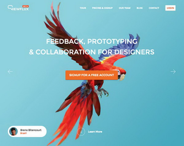 illustrated websites 10