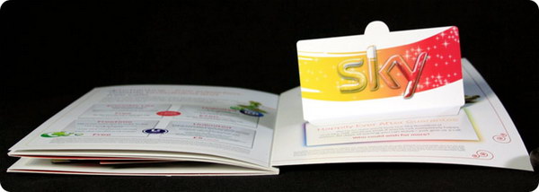 pop up brochure 8