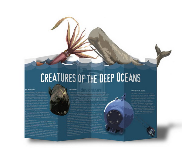 popup brochure idea 48