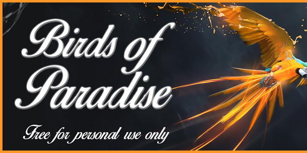 birds of paradise cursive font 7