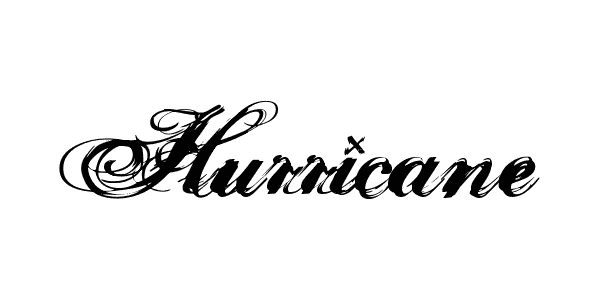 hurricane supadupaserif 42