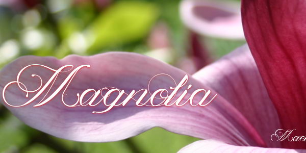magnolia cursive font 10 