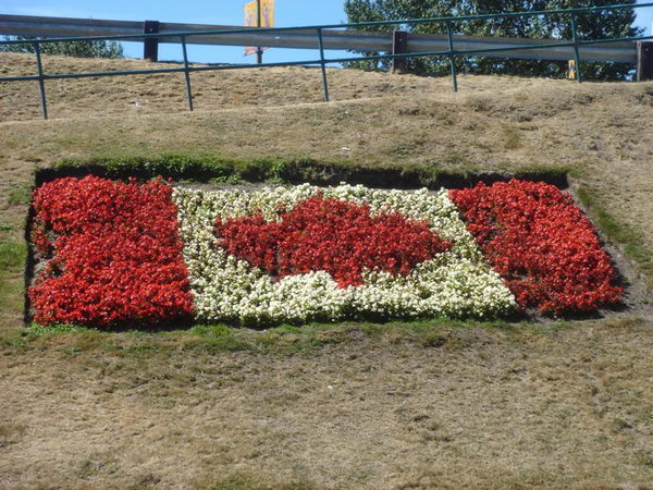 canadian flag flower bed 26 