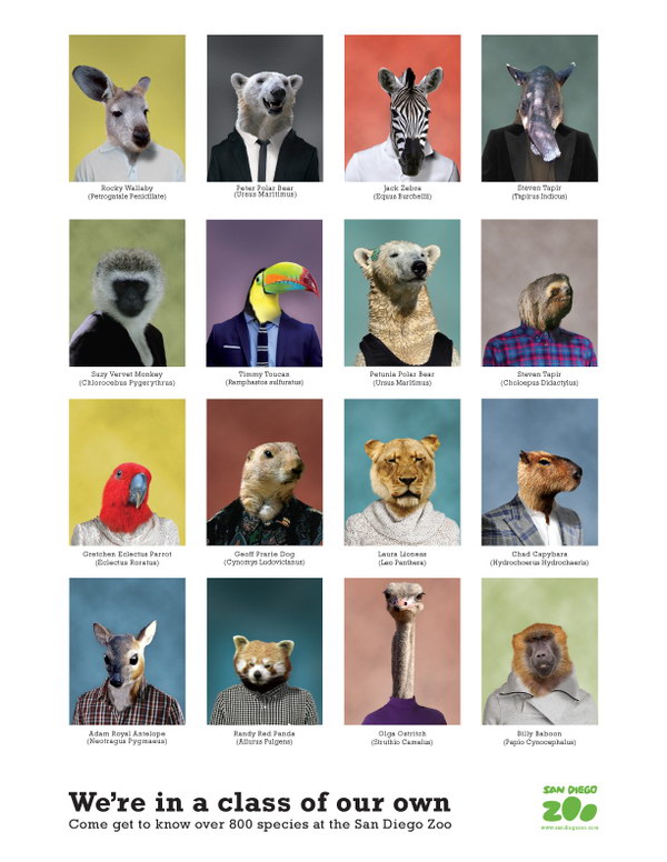 30 beautiful yearbook layout ideas 2022