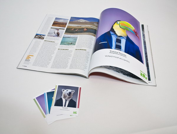 san diego zoo yearbook design idea 20 