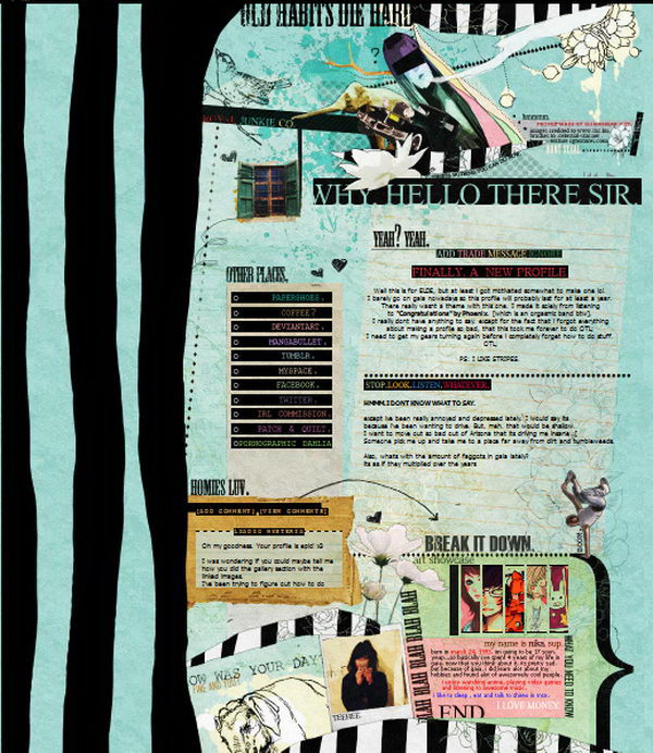 13 elephants women and cars