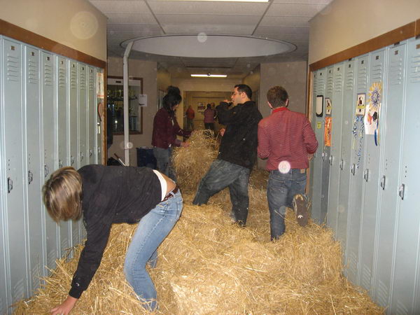 20 hay in the hallway