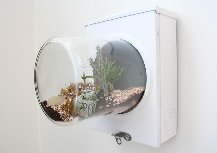 Wall Terrerium Made from Recycled Electric Meters. 