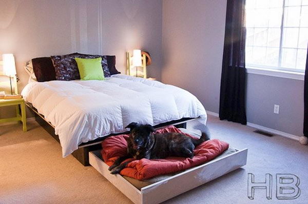 Cool Pet Bed Ideas. Unused stuff at your home can be recycled and turned into pet beds that looks packed yet stylish. 
