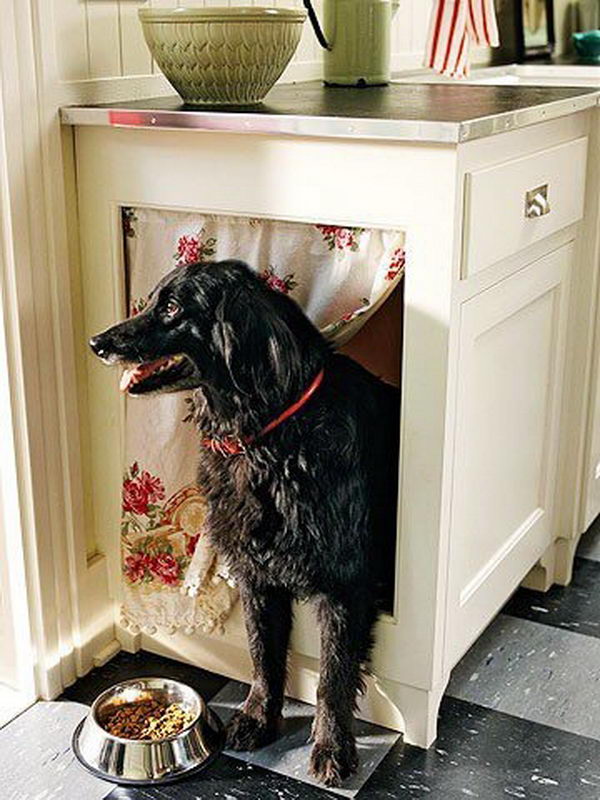 Cool Pet Bed Ideas. Unused stuff at your home can be recycled and turned into pet beds that looks packed yet stylish. 