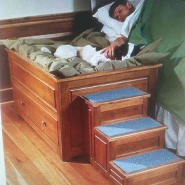 Cool Pet Bed Ideas. Unused stuff at your home can be recycled and turned into pet beds that looks packed yet stylish. 