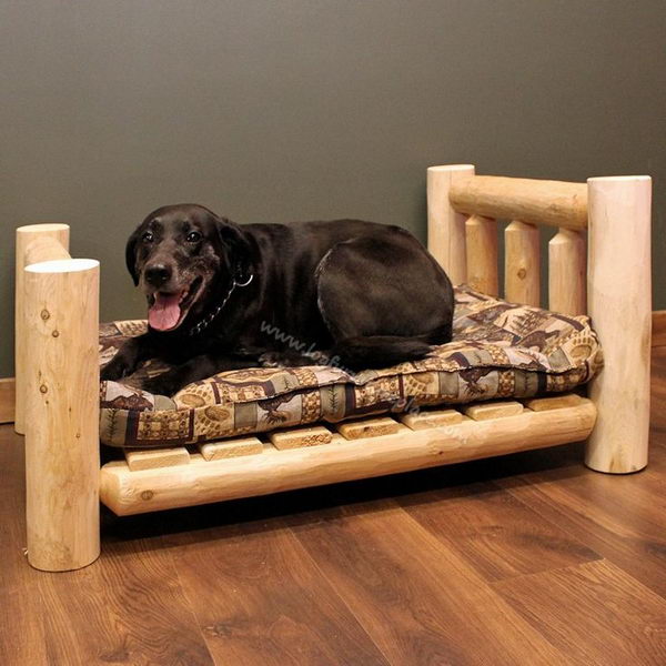 Cool Pet Bed Ideas. Unused stuff at your home can be recycled and turned into pet beds that looks packed yet stylish. 