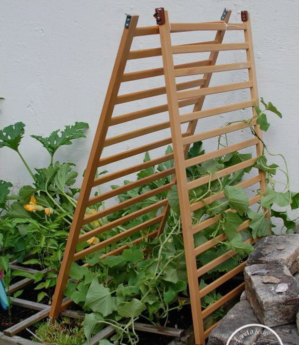 Garden trellis upcycled from old crib. 