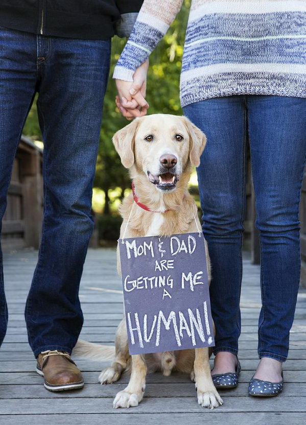 A meaningful way to preserve your memories of this special time in your life. Treasure your photos for a lifetime.