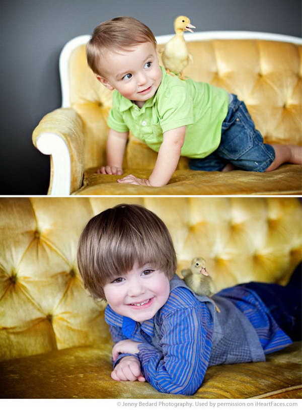 Easter Picture with Funny Duck. The cute kid is sprawling on the gold sofa with a duck standing on its back. It builds up a harmonious flavor between nature and people.