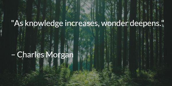 Knowledge Graduation Quote. As knowledge increases, wonder deepens. This quote comes from Charles Morgan. Even if you graduate, always keep curious about knowledge and learning as no one can carry your knowledge away. 