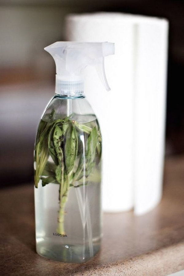 Sage Infused All Purpose Cleaner. Get the recipe