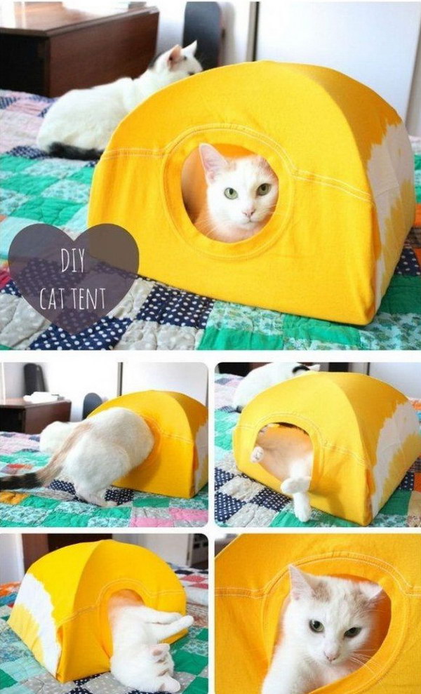 DIY Cat Tent.